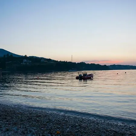 Corfu Erimitis *